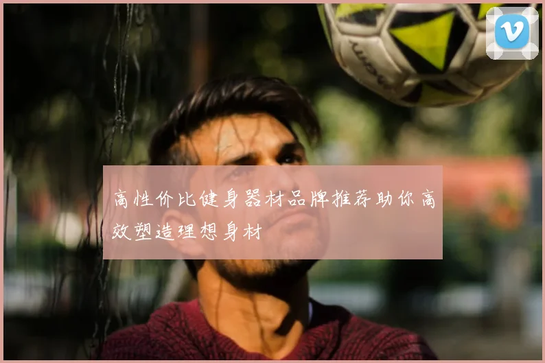 高性价比健身器材品牌推荐助你高效塑造理想身材